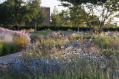 Dreamy Planting