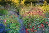 Evening Light on the Hot Borders