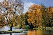 Autumnal Lake