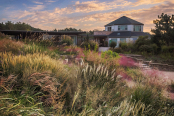 Grass Garden, Chollipo Arboretum, South Korea