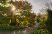 Autumn path