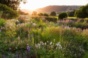 July Sunset in a Country Garden