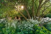 The National Garden Scheme garden by Tom Stuart-Smith