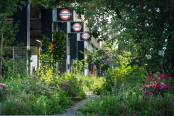 Hatton Cross Underground re-greening