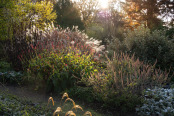 Reservoir Garden with November light