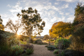 Autumn dawn on the gravel garden