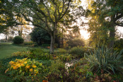 Water Garden October colours