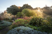 Reservoir Garden in autumn