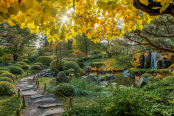  Fall in the Japanese Garden