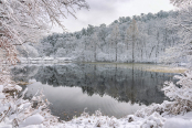 Winter Lake Yukrim, Korea National Arboretum