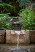 The Ecotherapy Garden