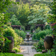 Early evening in the Rose Garden